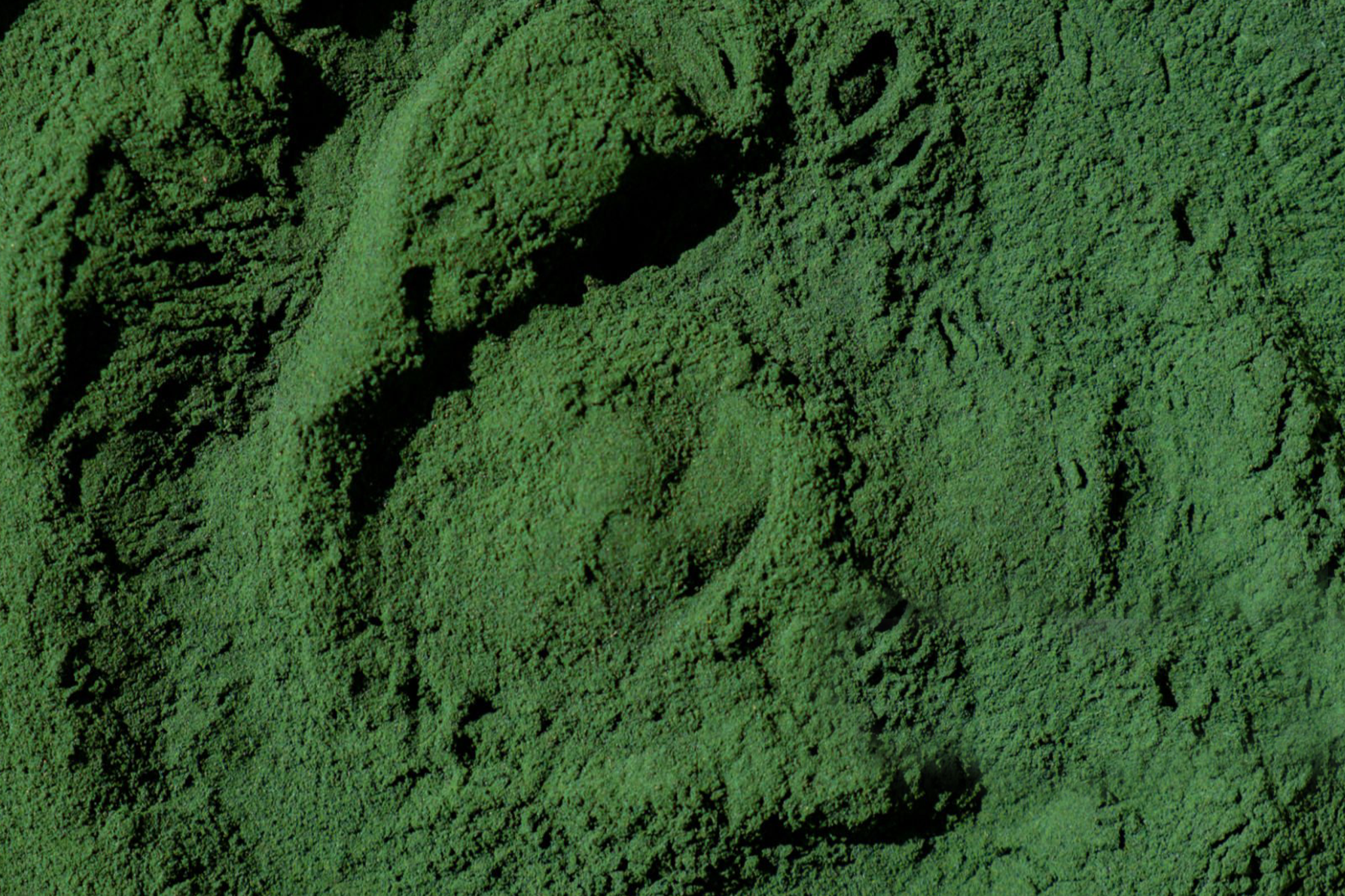 2edde1f2d82c39ae5e997f7be42fd83fac881ce7-2048x1365.png